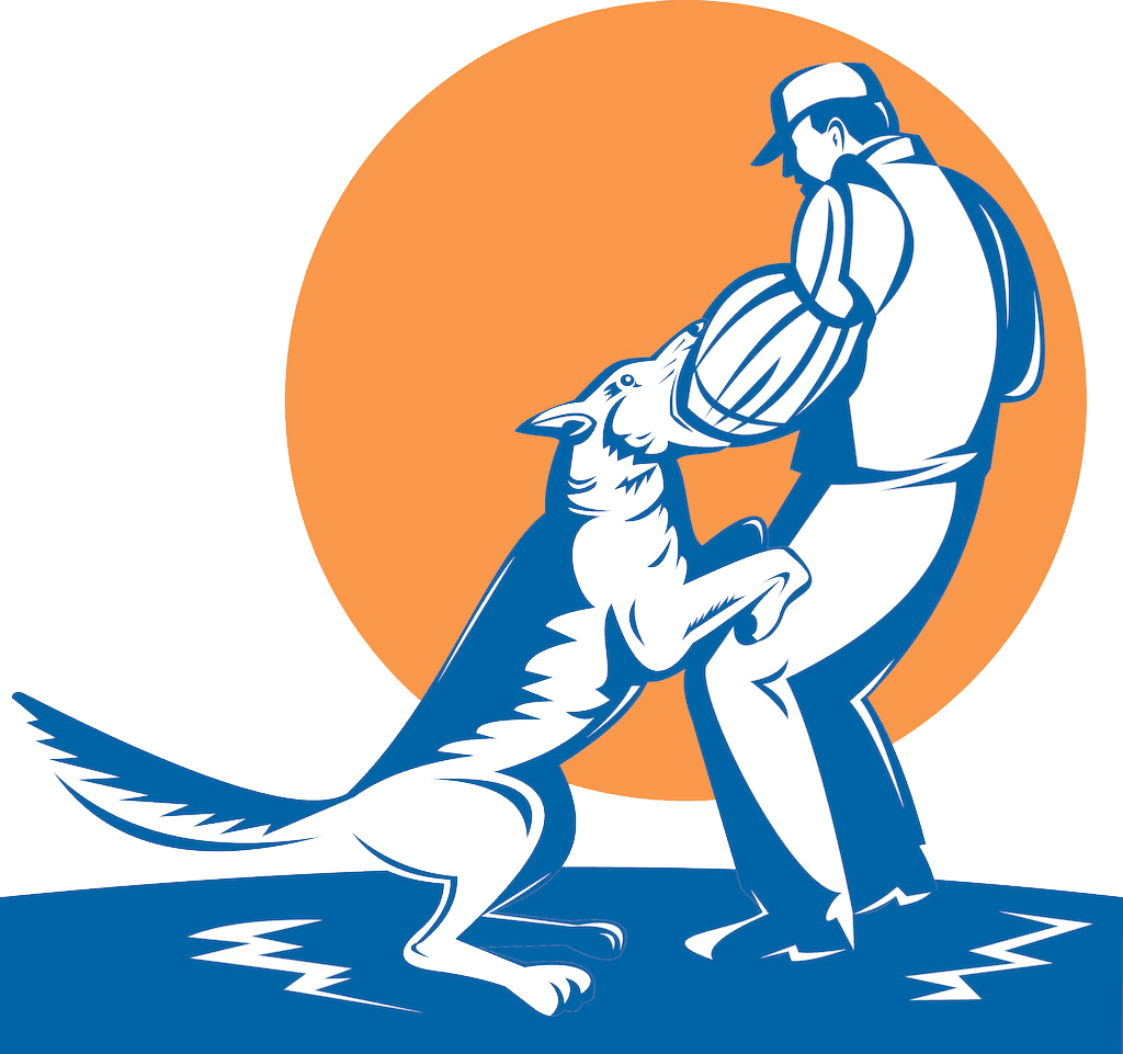 guarda de proteccion